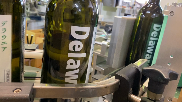 2021年収穫：デラウエアー　2021ヴィンテージ初のボトリングの記事動画