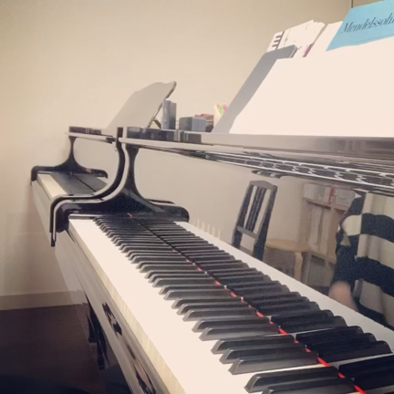 ピアノを育てるの記事動画