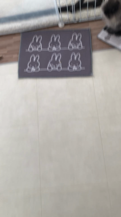 おやつタイム！！！の記事動画