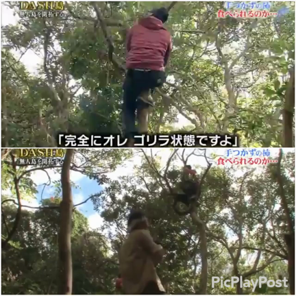 今夜のdashは ニンゲンカエレ 太一新番組 白熱ライブ ビビット スタンダード