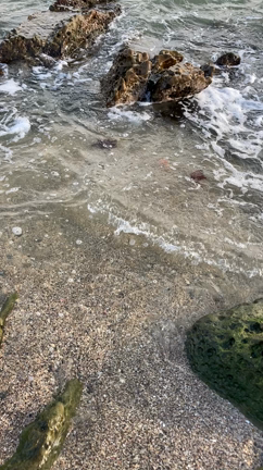 夏の銚子の記事動画