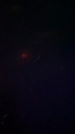 チームラボ　2の記事動画