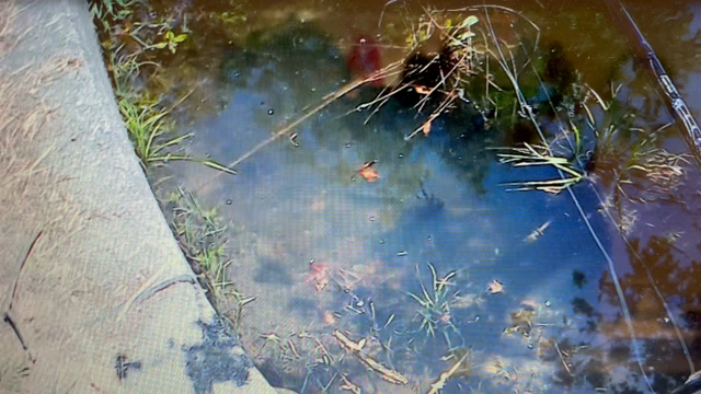 大江川初バスの記事動画