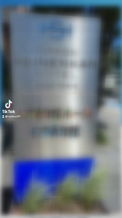 奇跡のチケットの記事動画