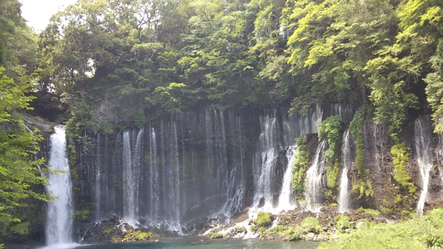 水音の記事動画