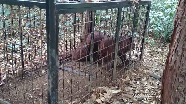 スマホのアルバムを見ていたらの記事動画