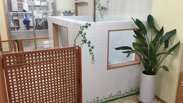 ウォーターセラピー始めます☆の記事動画