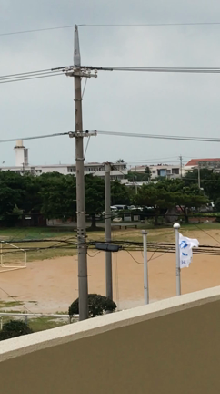 020 日焼け止め「100の断捨離」、台風9号の記事動画