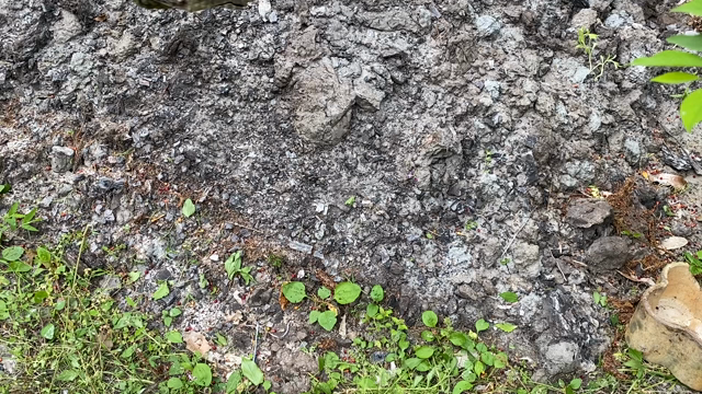 おんよくんのブランコ遊びの記事動画