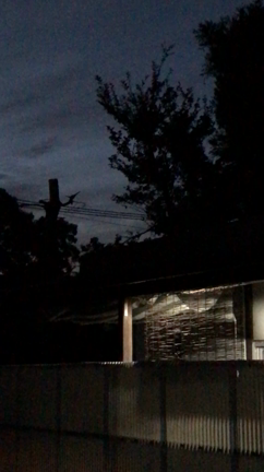 蝉の声の記事動画