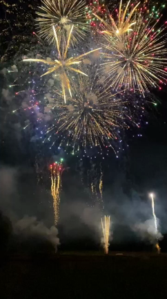 しがらみのない自由な世界への記事動画