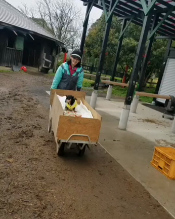 家族での記事動画