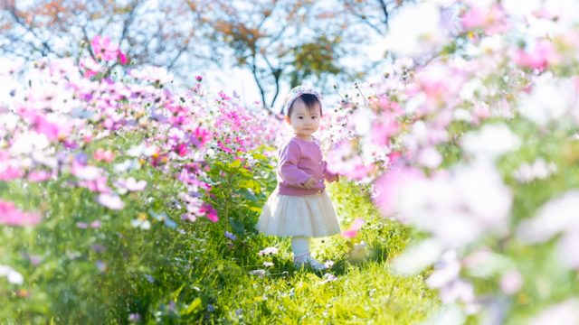 フォトギャラリーの記事動画