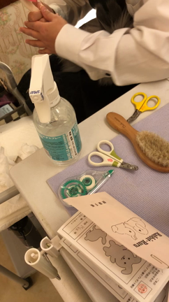 キレイになたよ！！！の記事動画