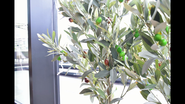 お仕事バッチリ紹介しちゃってください＠銀座ランチ会♬開催の記事動画