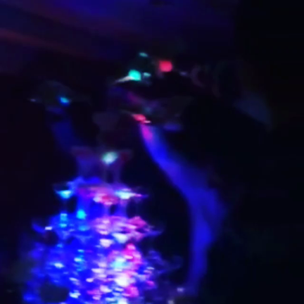 誕生日会0217♥︎の記事動画