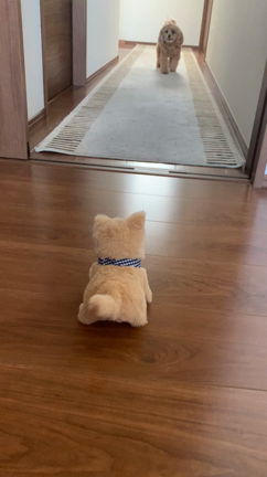 今日から八月。の記事動画