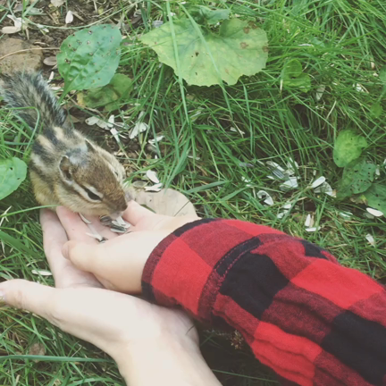 秋分の日の三連休〔少し前ですが…〕の記事動画
