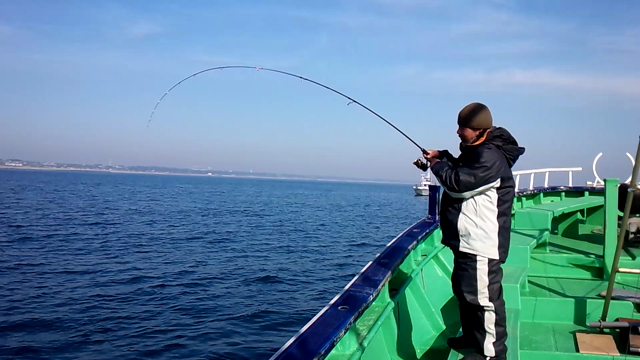 3月29日カレイの記事動画