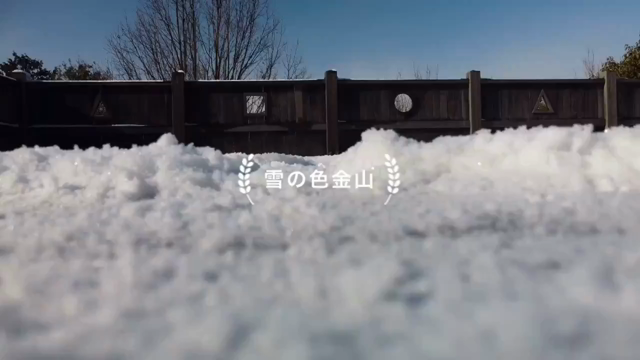 初ドローン撮影画像の記事動画