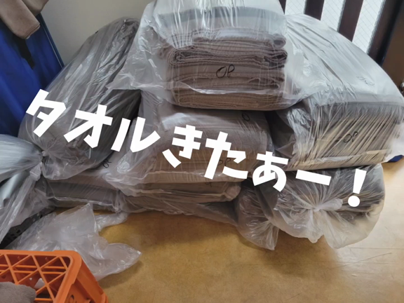 テストの記事動画