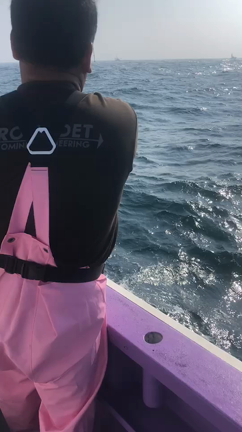 出船予定の記事動画