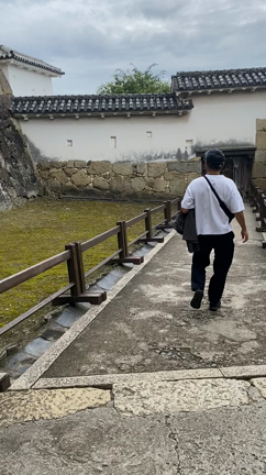 夏休みは神戸への記事動画