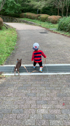 秋深しの記事動画