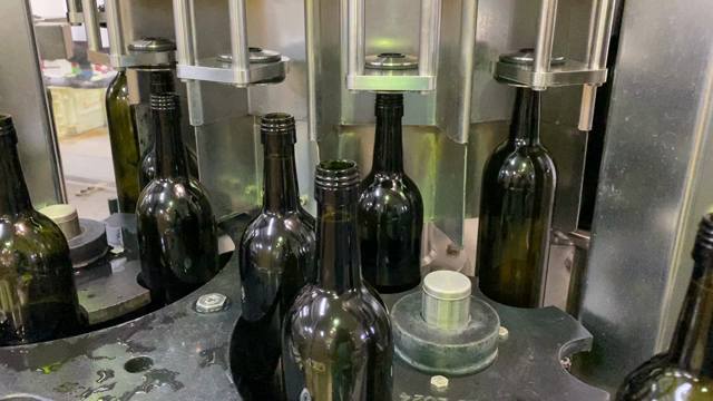 2021年収穫：デラウエアー　2021ヴィンテージ初のボトリングの記事動画