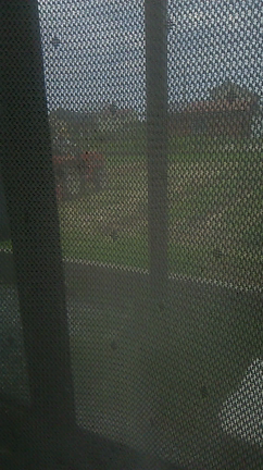 あかん日やな。の記事動画