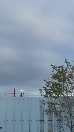 ツイン関係なくやるっきゃないことの記事動画