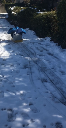 『幸せ』は、今日からなれる。ソリ滑りー！！！の記事動画