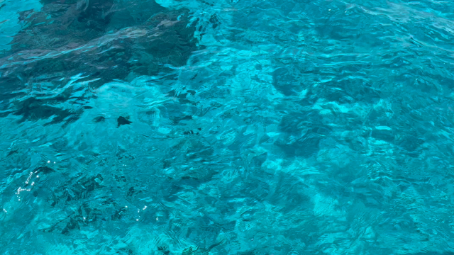 2022/07/28の記事動画