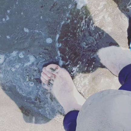 ガリの記事動画