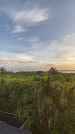 経験に投資するの記事動画