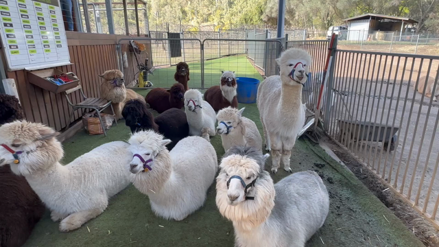 久しぶりにQuartzophone® 演奏　YouTubeにあげました❤️の記事動画