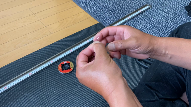 イサキ船でスペゲス釣れた。の記事動画