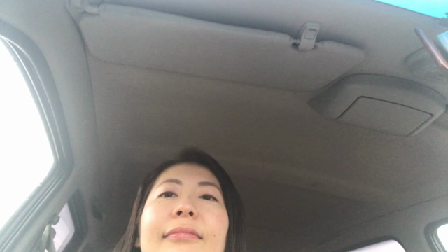 癒しへの最短方法とは？の記事動画