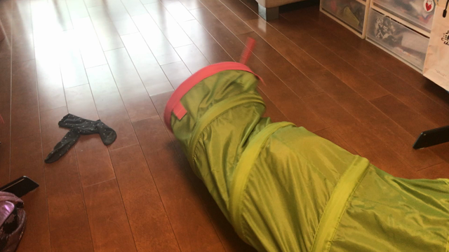 変身の記事動画