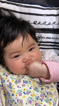 お帽子を買いにの記事動画