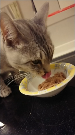 スローモーションの記事動画