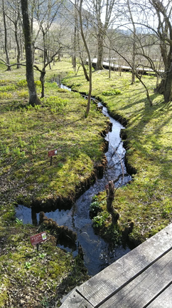 地球主体地球くらぶ環境命守り持続循環∞の記事動画