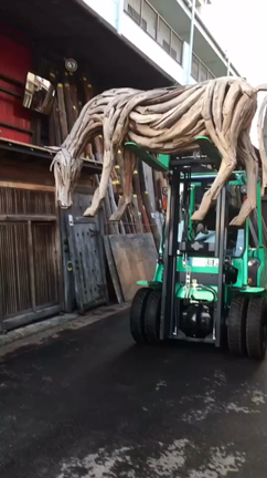 古材な お馬さん。の記事動画