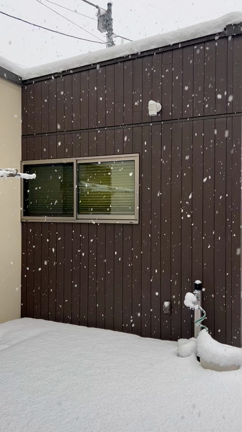 まあまあ降ったの記事動画