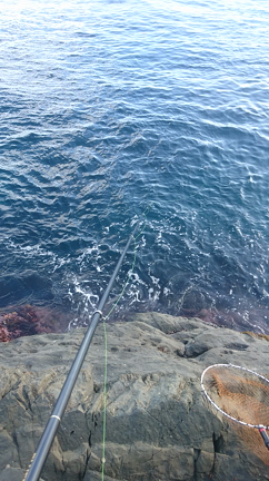 ジーンズ最後？黒狙いの記事動画