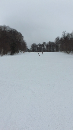 事故❤︎撮ったどーーー！の記事動画