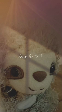 なまぷー動画2の記事動画