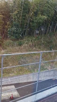 茂原で初雪　－ Road to retirement 2021 file No.235－の記事動画