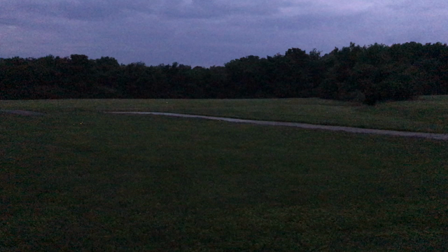 家庭菜園記録☆最近の出来事☆ホタルの記事動画