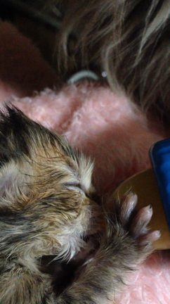 こんな事するの記事動画